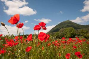 Puy de dome grand site de france 1617428602